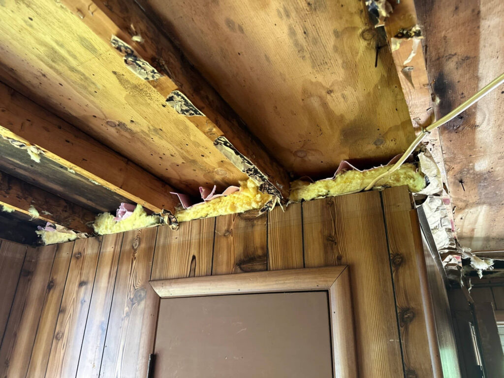 Roof inspection in attic shows leak and water damage