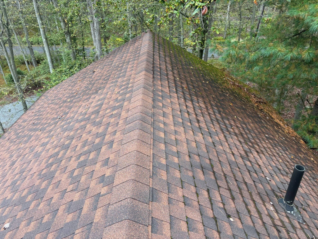 Roof shingles with water damage